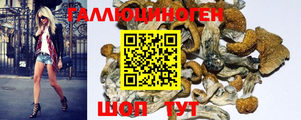 Галлюциногенные грибы Psilocybe  Вход с VPN  Галлюциногенные грибы ЛСД  Мурино 