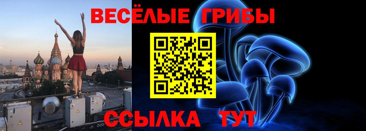 Псилоцибиновые грибы MAGIC MUSHROOMS Мурино